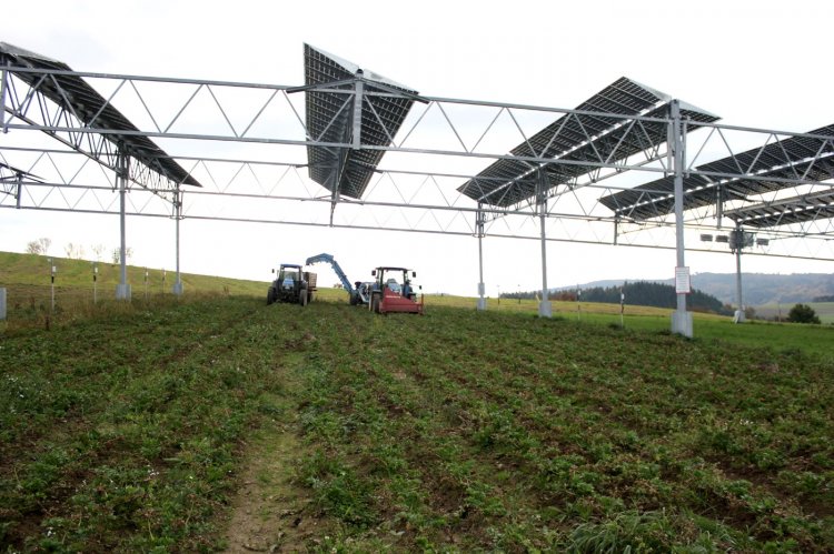 Agri-Photovoltaik in Heggelbach, Foto: Hofgemeinschaft Heggelbach