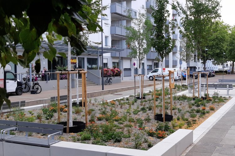 Der Platz „Am Sudhaus“ wurde neu gestaltet. Foto: Stadt Ulm