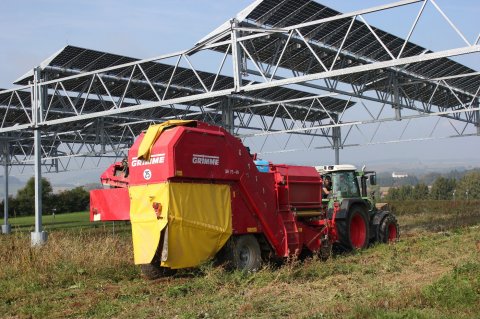 Agri-Photovoltaik in Heggelbach, Foto: Hofgemeinschaft Heggelbach