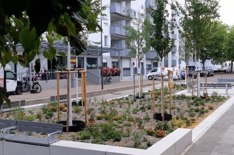 Der Platz „Am Sudhaus“ wurde neu gestaltet. Foto: Stadt Ulm