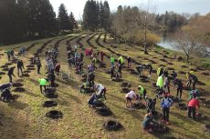 Im Oktober 2022 starteten die Verantwortlichen des Einstein-Marathons gemeinsam  mit den Stadtwerken Ulm/Neu-Ulm in Ersingen eine große Baum-Pflanzaktion. Foto: SUN Sportmanagement GmbH