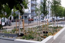 Der Platz „Am Sudhaus“ wurde neu gestaltet. Foto: Stadt Ulm