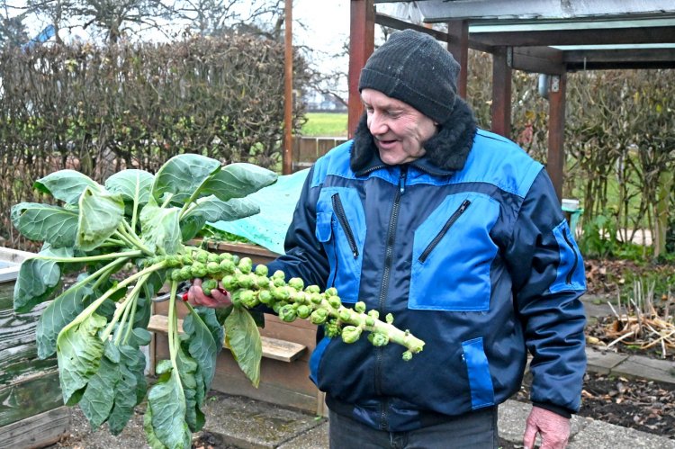 Josef Unsöld liebt Gartenarbeit - zu jeder Jahreszeit.  