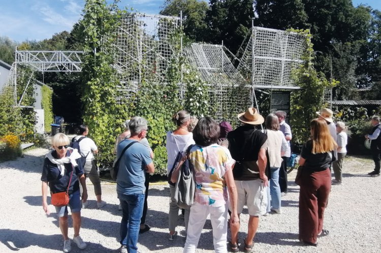 Einjährige Kletterpflanzen wie hier bei der Stiftung Gartenkultur in Illertissen  könnten eine schattige Lösung für heiße Plätze in der Innenstadt sein. Das Thema  wird vom Agenda-Team Landesgartenschau bearbeitet. Foto: Petra Schmitz