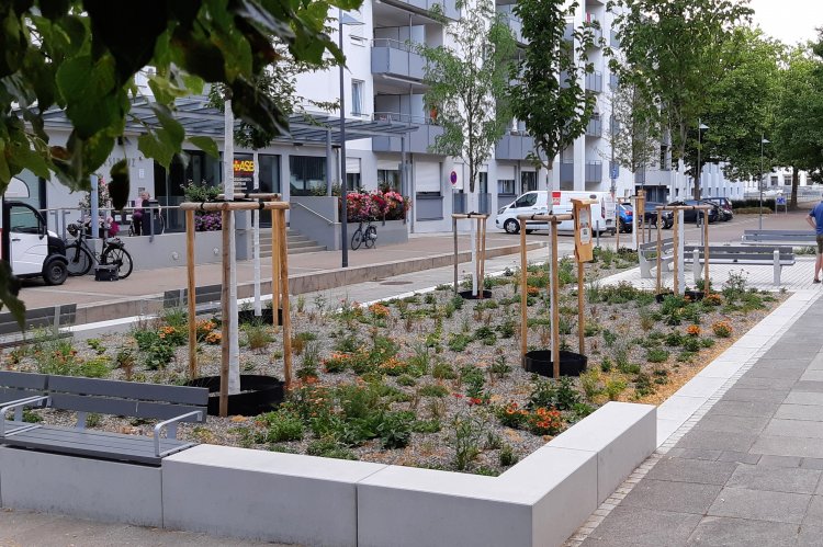 Der neu gestaltete Platz am Sudhaus. Foto: Stadt Ulm