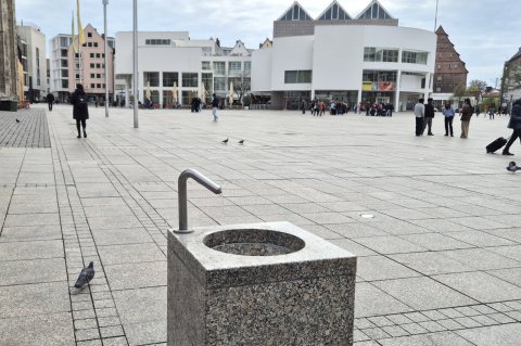 Trinkbrunnen auf dem Münsterplatz (Bild: T. Dombeck)