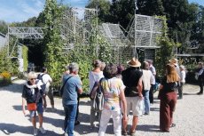 Einjährige Kletterpflanzen wie hier bei der Stiftung Gartenkultur in Illertissen  könnten eine schattige Lösung für heiße Plätze in der Innenstadt sein. Das Thema  wird vom Agenda-Team Landesgartenschau bearbeitet. Foto: Petra Schmitz