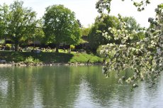 Am Donauufer spürt man den kühlenden Einfluss der Grünzüge und der Wasserflächen. Foto: Lars Schmid